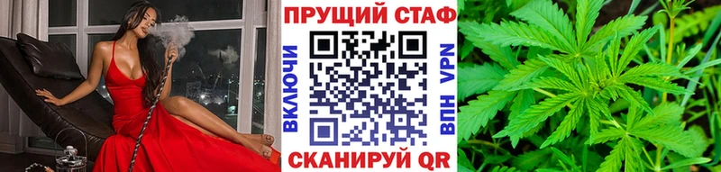 Что такое Злынка А ПВП  Псилоцибиновые грибы  ГАШ  Меф мяу мяу  Каннабис  COCAIN 